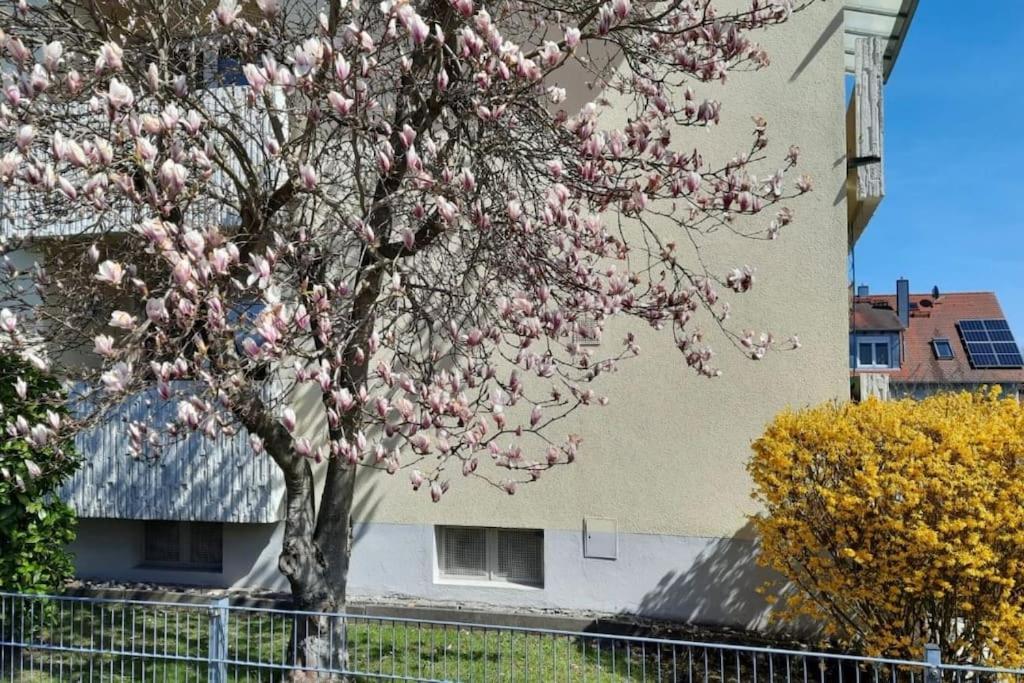 Beckhomes Bb- Gemuetliche, Neue Wohnung Bischberg Dış mekan fotoğraf